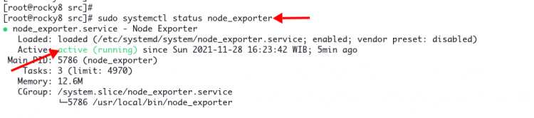 Configurar Node Exporter como un servicio systemd