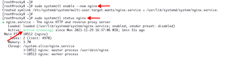 Configurar nginx como proxy inverso para grafana