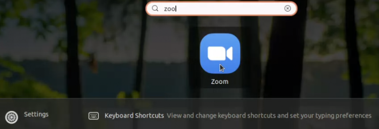 lanzamiento del cliente de zoom