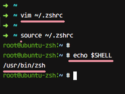 recargar la configuración .zshrc en Ubuntu