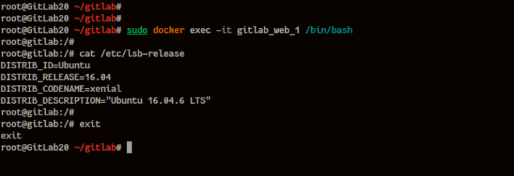 Iniciar sesión en el contenedor de GitLab