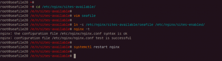 Instalar y configurar Nginx como proxy inverso para Seafile