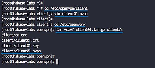 Configuración del cliente OpenVPN