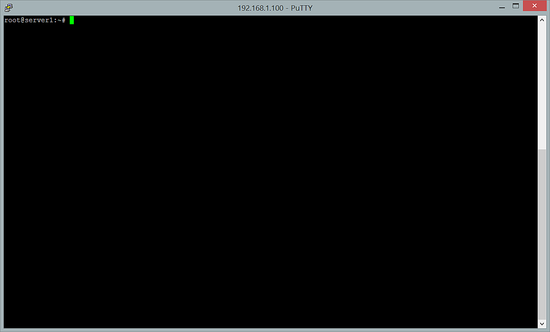 Símbolo del sistema de pantalla de Linux