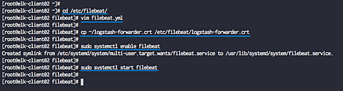 Configurar Filebeat