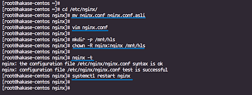 Configurar Nginx para RTMP