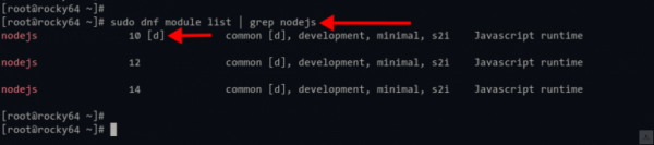 Compruebe el módulo de repositorio de Node.js Rocky Linux