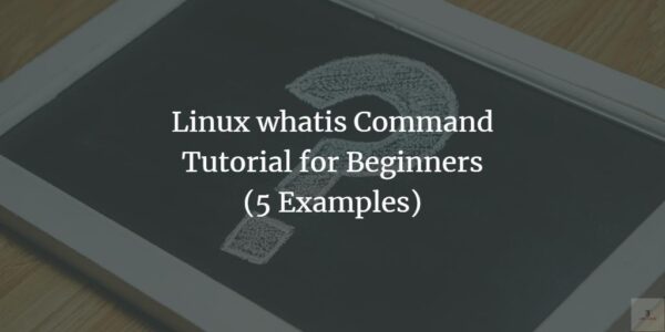 Tutorial de comandos whatis de Linux para principiantes (5 ejemplos)