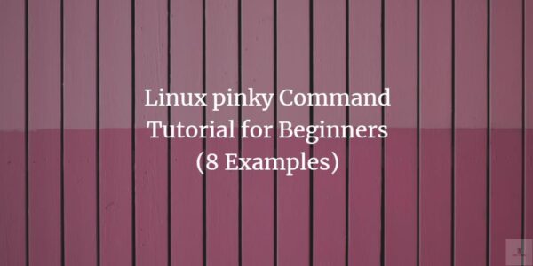 Tutorial del comando Pinky de Linux para principiantes (8 ejemplos)